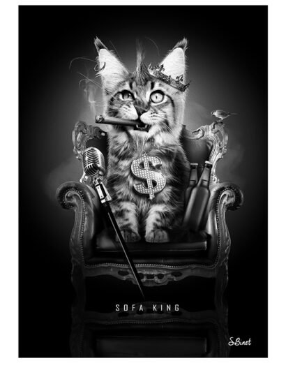 Tirage d’art "Sofa King" – Sylvain Binet