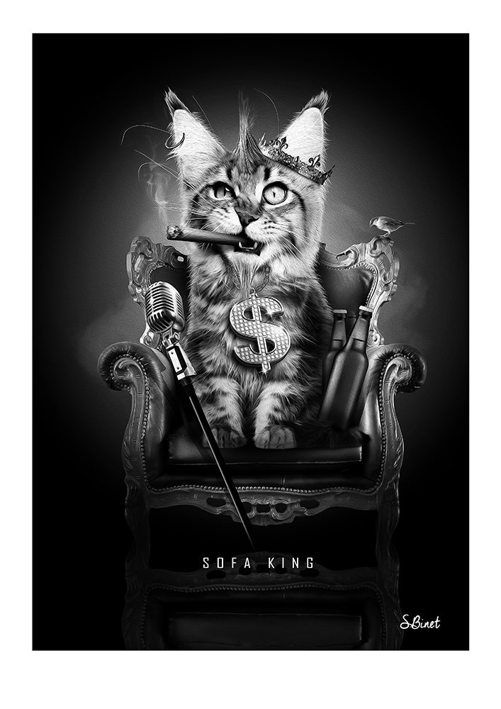 Tirage d’art "Sofa King" – Sylvain Binet