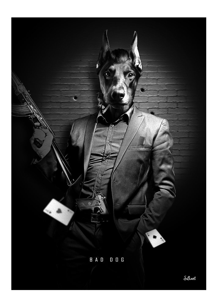 Tirage d’art "Bad Dog" – Sylvain Binet