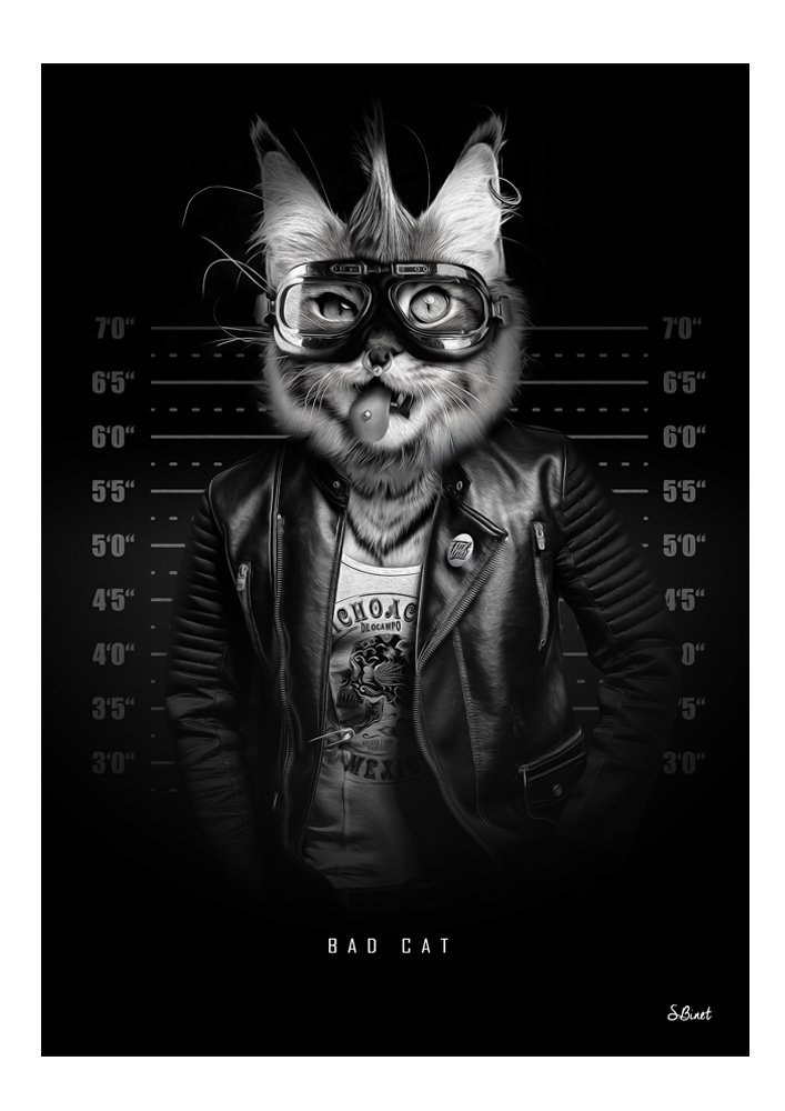 Tirage d’art "Bad Cat" – Sylvain Binet
