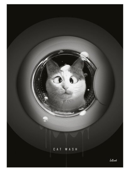 Tirage d’art "Cat Wash" – Sylvain Binet