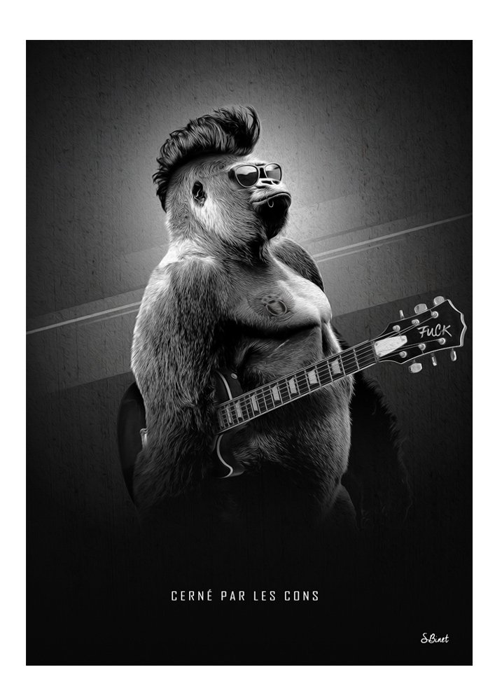 Tirage d’art "Cerné par les cons" – Sylvain Binet