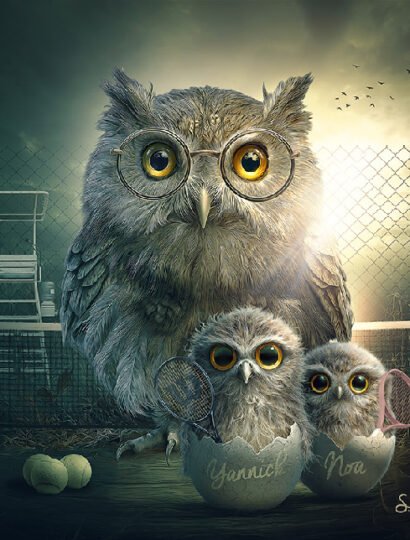 Tirage d’art "Chouettes" – Sylvain Binet