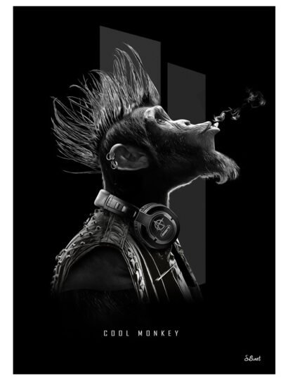 Tirage d’art "Cool Monkey" – Sylvain Binet