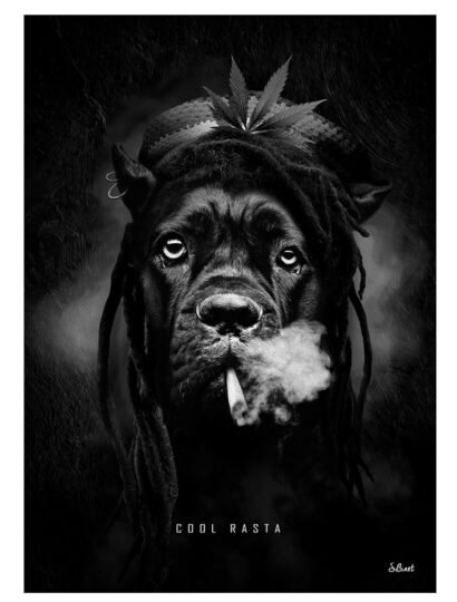 Tirage d’art "Rasta Cool" – Sylvain Binet
