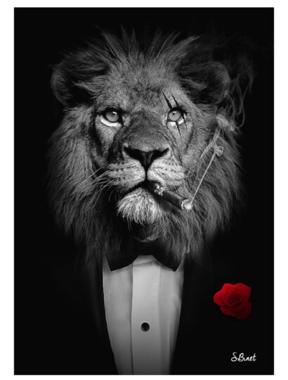 Tirage d’art "Lion Mafia" – Sylvain Binet