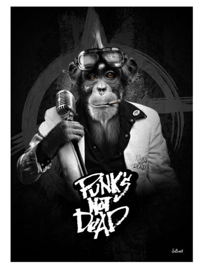 Tirage d’art "Punk Is Not Dead" – Sylvain Binet