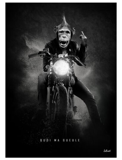 Tirage d’art "Quoi Ma Gueule" – Sylvain Binet