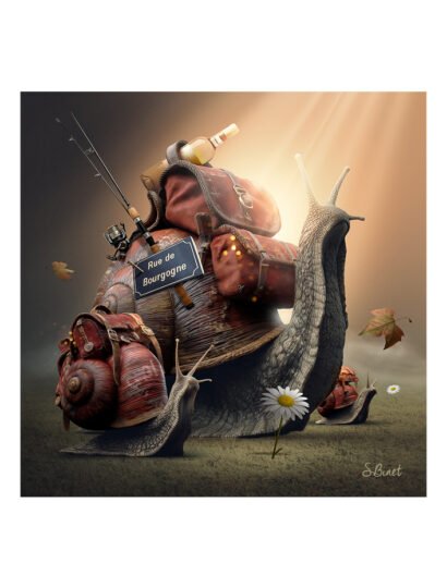 Tirage d’art "Escargot" – Sylvain Binet