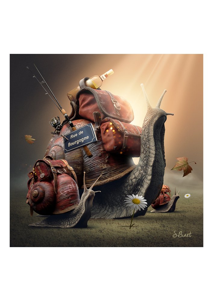 Tirage d’art "Escargot" – Sylvain Binet