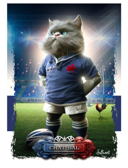 Tirage d’art "Chat-bal" – Sylvain Binet