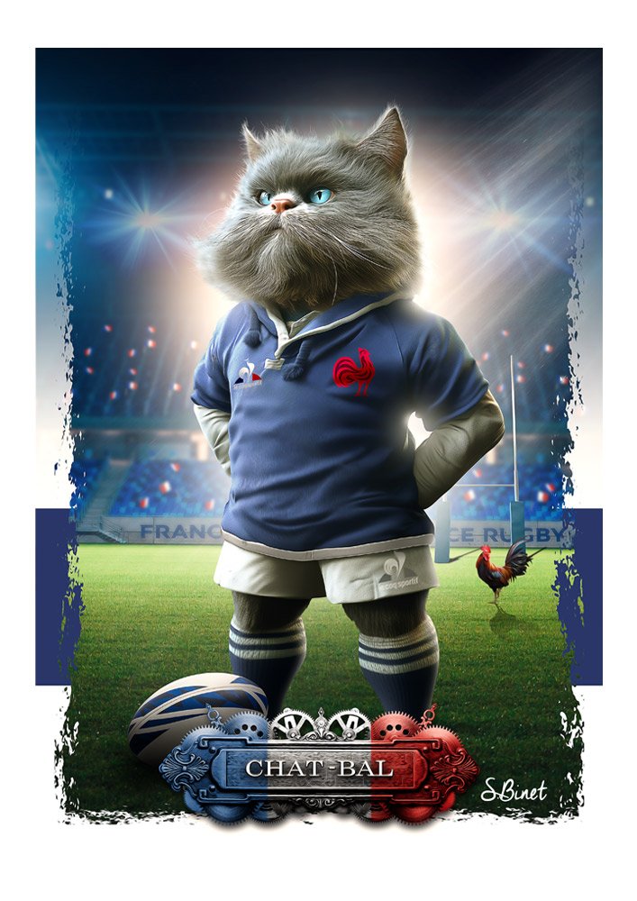 Tirage d’art "Chat-bal" – Sylvain Binet