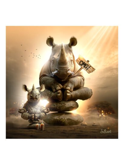 Tirage d’art "Rhino Zen" – Sylvain Binet