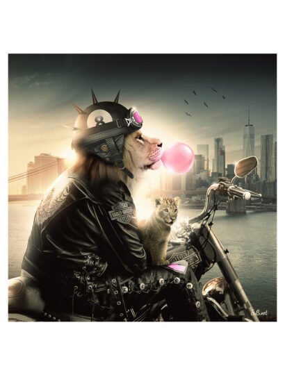 Tirage d’art "Lion Moto" – Sylvain Binet