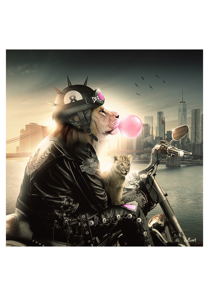 Tirage d’art "Lion Moto" – Sylvain Binet