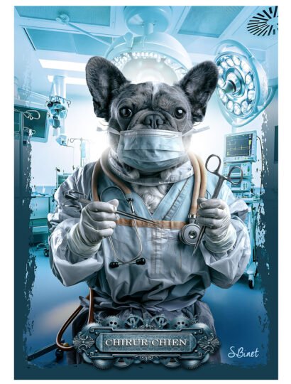 Tirage d’art "Chirur-Chien" – Sylvain Binet