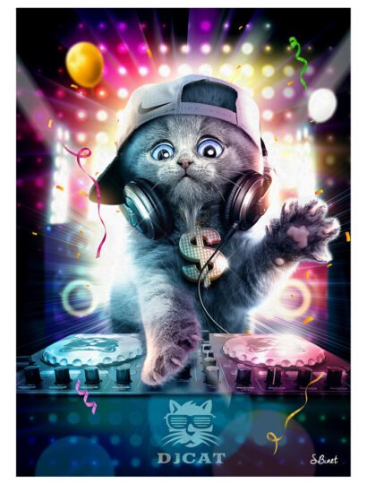 Tirage d’art "DJ Cat" – Sylvain Binet